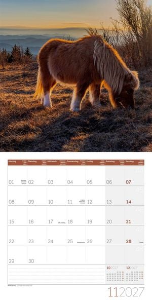 Produktbild: Pferde Kalender 2027 - 30x30 - Art12