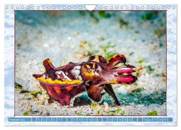 Produktbild: Farbenpracht unter Wasser (Wandkalender 2026 DIN A4 quer), CALVENDO Monatskalender