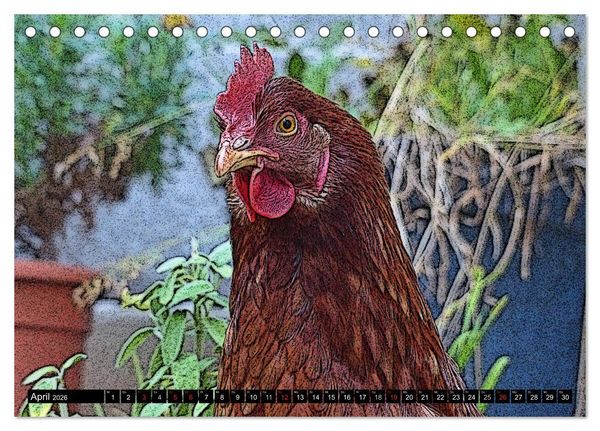 Produktbild: Die H&uuml;hner sind los! (Tischkalender 2026 DIN A5 quer), CALVENDO Monatskalender