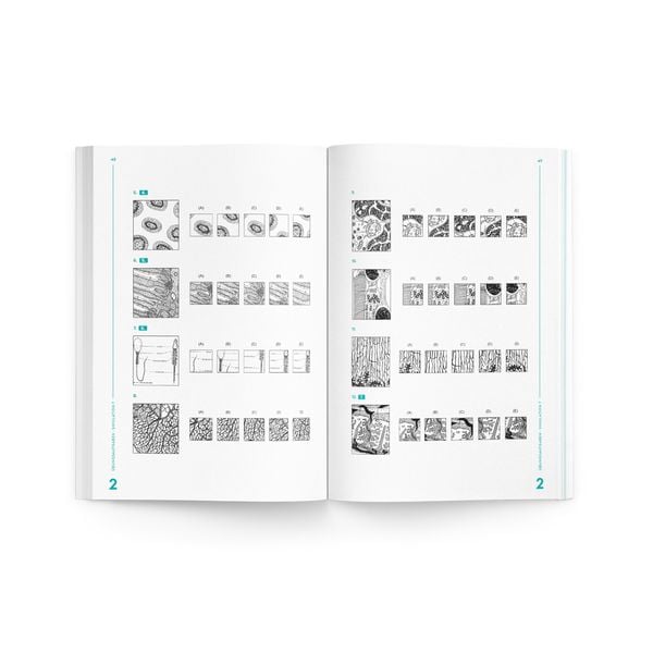 Produktbild: MedGurus - TMS &Uuml;bungsbuch Muster zuordnen