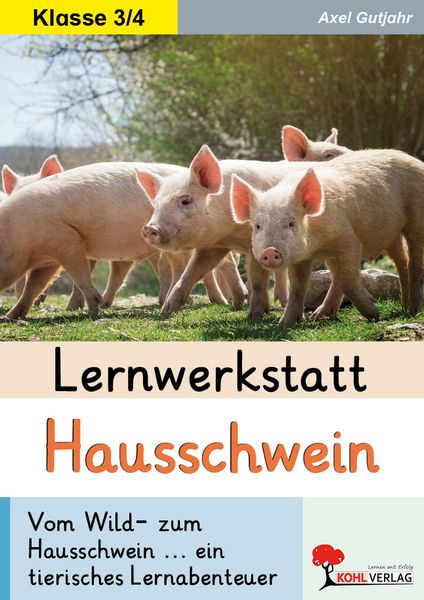 Produktbild: Lernwerkstatt Hausschwein