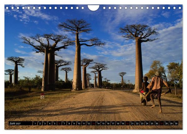 Produktbild: Madagaskar - Impressionen von Rolf Dietz (Wandkalender 2027 DIN A4 quer), CALVENDO Monatskalender