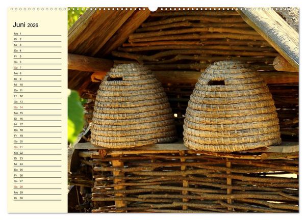 Produktbild: Flei&szlig;ige Bienen. Von der Bl&uuml;te bis zum Honig (Wandkalender 2026 DIN A2 quer), CALVENDO Monatskalender