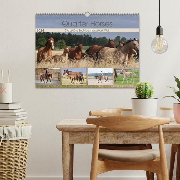 Produktbild: Quarter Horses - Die gr&ouml;&szlig;te Zuchtbuchrasse der Welt (Wandkalender 2026 DIN A3 quer), CALVENDO Monatskalender