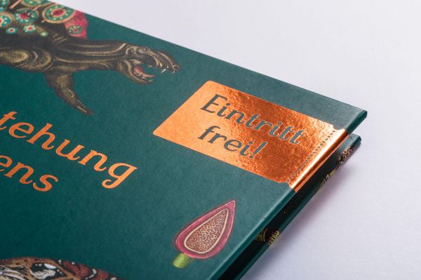 Produktbild: Die Entstehung des Lebens. Evolution