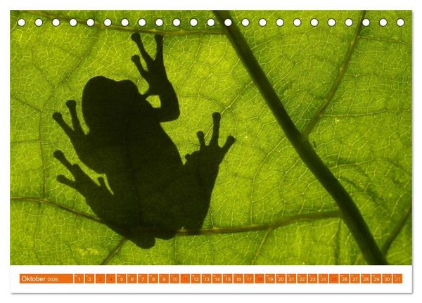 Produktbild: Farbige Fr&ouml;sche (Tischkalender 2026 DIN A5 quer), CALVENDO Monatskalender
