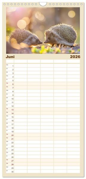 Produktbild: Familienplaner 2026 - Mein Igel-Kalender mit 5 Spalten (Wandkalender, 21 x 45 cm) CALVENDO