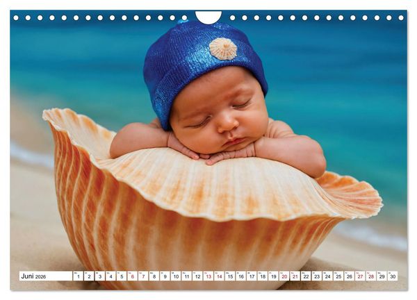 Produktbild: Zauberhaft schlafende Babies - Ruhig und friedlich (Wandkalender 2026 DIN A4 quer), CALVENDO Monatskalender
