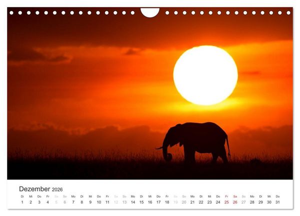 Produktbild: Elefanten - Sanfte Riesen in Afrika (Wandkalender 2026 DIN A4 quer), CALVENDO Monatskalender