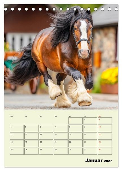Produktbild: Shire Horse Magie. Englands sanfte Giganten (Tischkalender 2027 DIN A5 hoch), CALVENDO Monatskalender