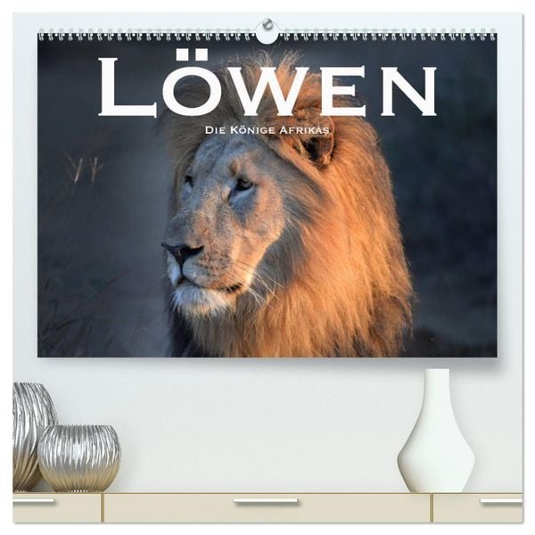 Produktbild: L&ouml;wen. Die K&ouml;nige Afrikas (hochwertiger Premium Wandkalender 2026 DIN A2 quer), Kunstdruck in Hochglanz