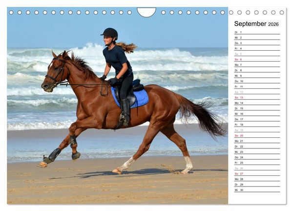 Produktbild: Mein Reitsport Kalender (Wandkalender 2026 DIN A4 quer), CALVENDO Monatskalender
