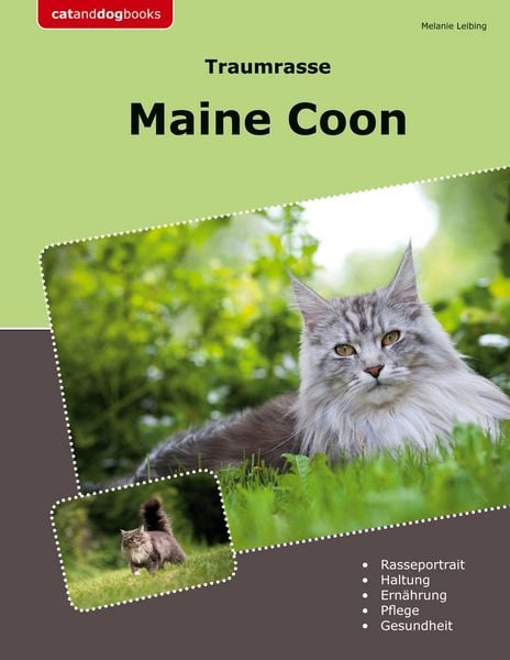 Produktbild: Traumrasse Maine Coon