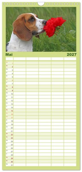 Produktbild: Familienplaner 2027 - DER BEAGLEige TERMINPLANER mit 5 Spalten (Wandkalender, 21 x 45 cm) CALVENDO