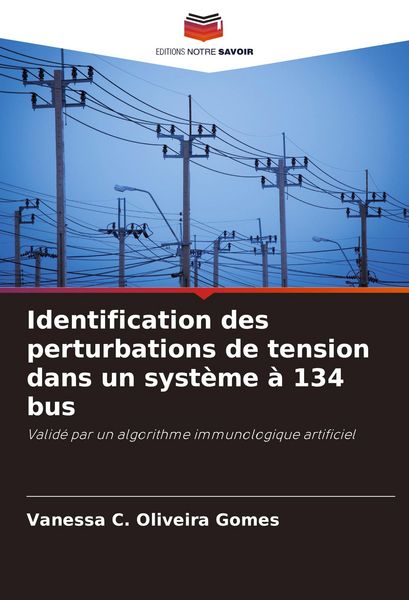 Produktbild: Identification des perturbations de tension dans un syst&egrave;me &agrave; 134 bus