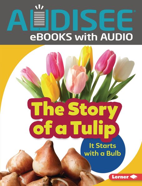 Produktbild: Story of a Tulip