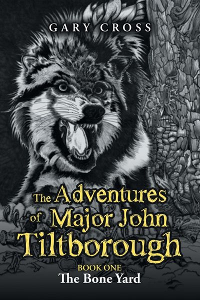 Produktbild: The Adventures of Major John Tiltborough