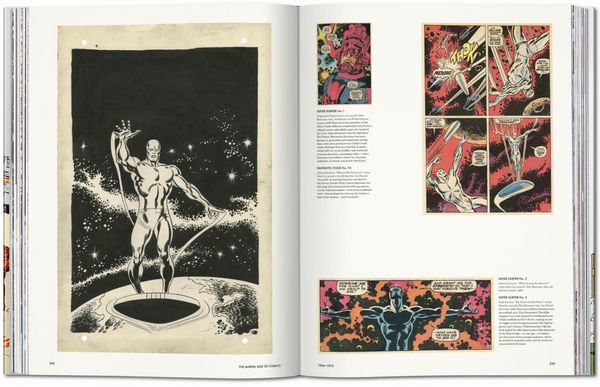 Produktbild: L'&egrave;re des comics Marvel 1961-1978