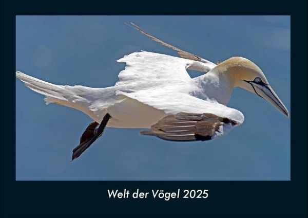Produktbild: Welt der V&ouml;gel 2025 Fotokalender DIN A4