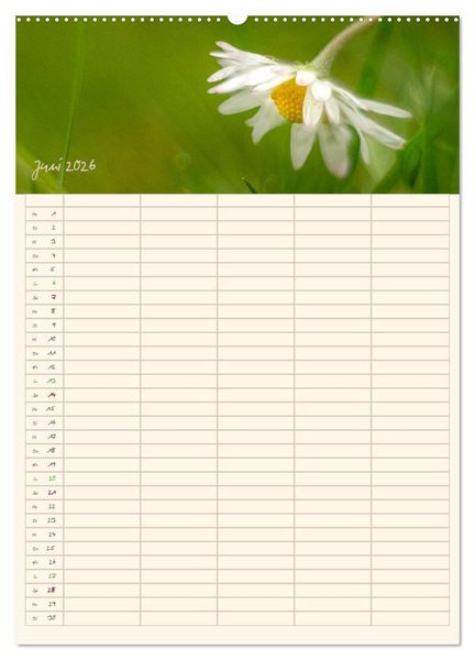Produktbild: Mit Blick in den Garten (hochwertiger Premium Wandkalender 2026 DIN A2 hoch), Kunstdruck in Hochglanz