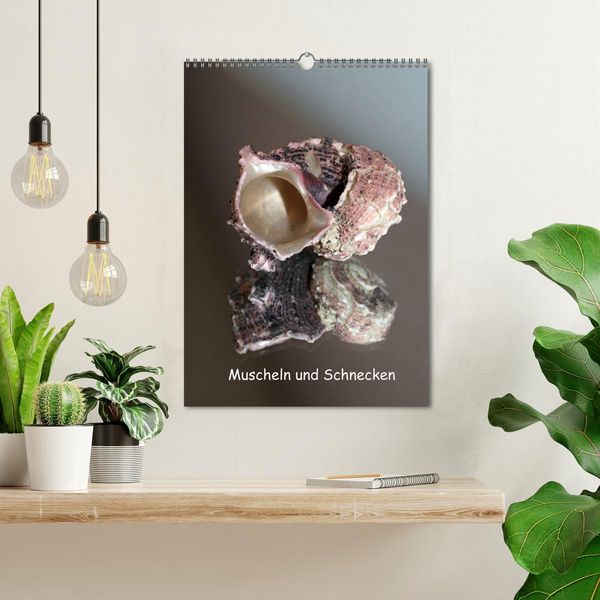 Produktbild: Muscheln und Schnecken (Wandkalender 2026 DIN A3 hoch), CALVENDO Monatskalender