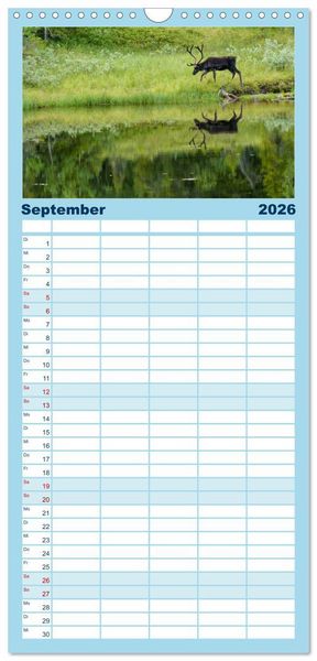 Produktbild: Familienplaner 2026 - Magisches Nordland. Eine Reise in das Herz Skandinaviens mit 5 Spalten (Wandkalender, 21 x 45 cm) CALVENDO