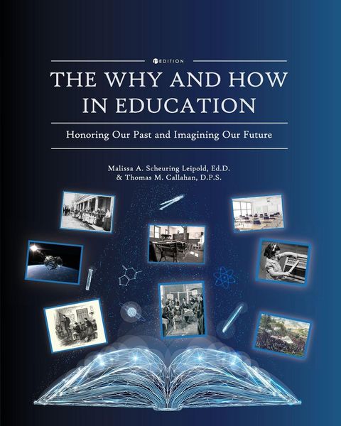 Produktbild: The Why and How in Education