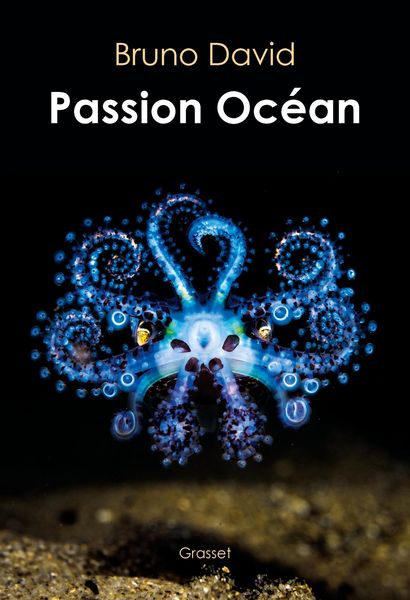Produktbild: Passion oc&eacute;an