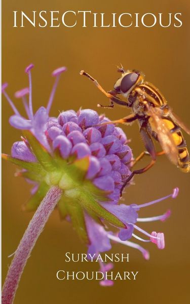 Produktbild: INSECTilicious