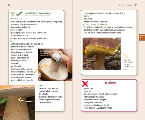 Produktbild: 10 Pilze