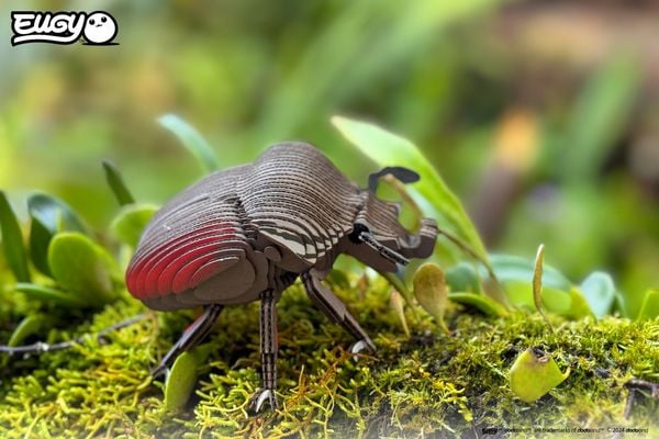 Produktbild: EUGY - 3D Bastelset Goliathk&auml;fer