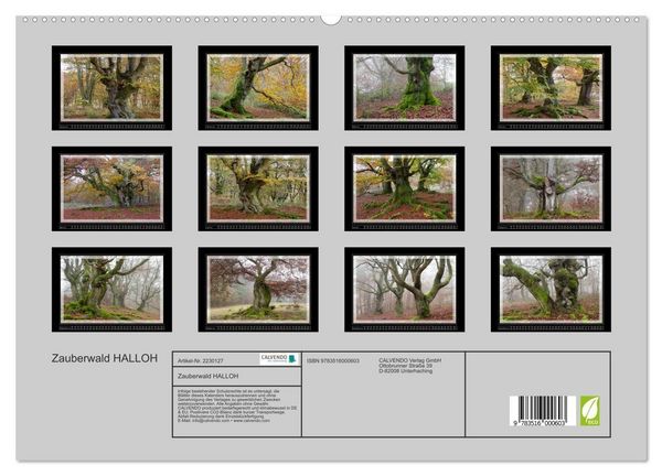 Produktbild: Zauberwald HALLOH (hochwertiger Premium Wandkalender 2026 DIN A2 quer), Kunstdruck in Hochglanz