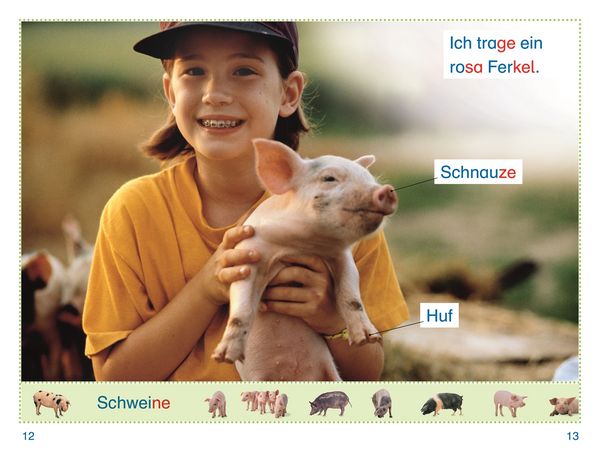 Produktbild: SUPERLESER! Lina im Streichelzoo