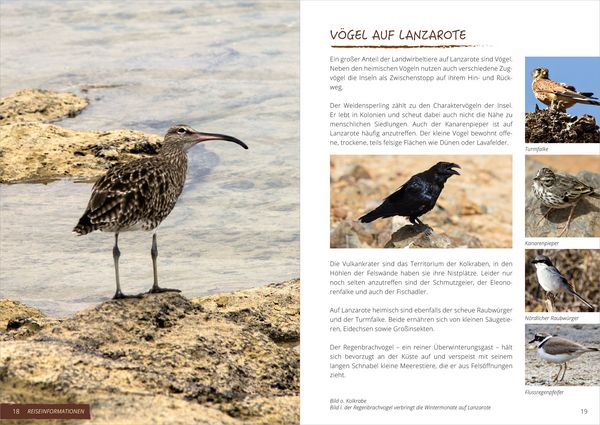 Produktbild: Wanderf&uuml;hrer Lanzarote &ndash; Reisezeit &ndash; GEQUO Verlag