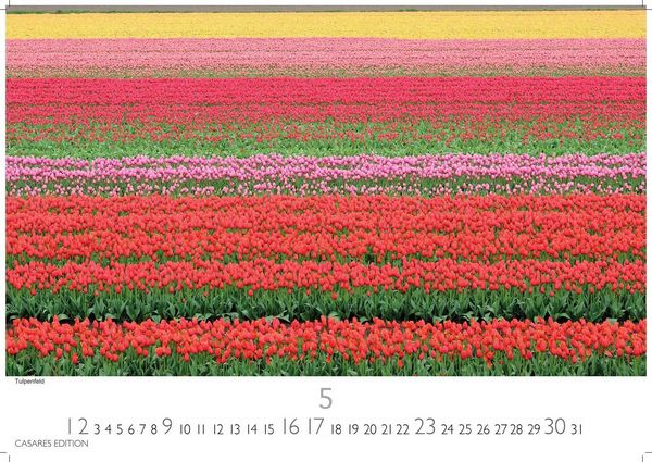 Produktbild: Niederlande Kalender 2027 &ndash; Wandkalender | Fotokalender Mitteleuropa 24x35cm - Entdecken Sie die sch&ouml;nsten Sehensw&uuml;rdigkeiten der Niederlande