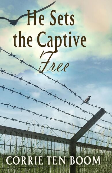 Produktbild: He Sets the Captive Free