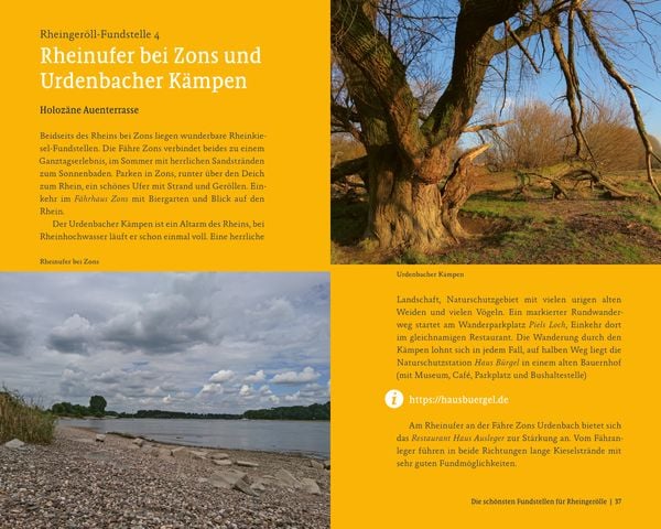 Produktbild: Sch&auml;tze des Rheins