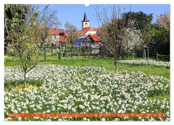 Produktbild: Brandenburg - Sch&ouml;ne Orte im Landkreis Potsdam-Mittelmark (hochwertiger Premium Wandkalender 2026 DIN A2 quer), Kunstdruck in Hochglanz