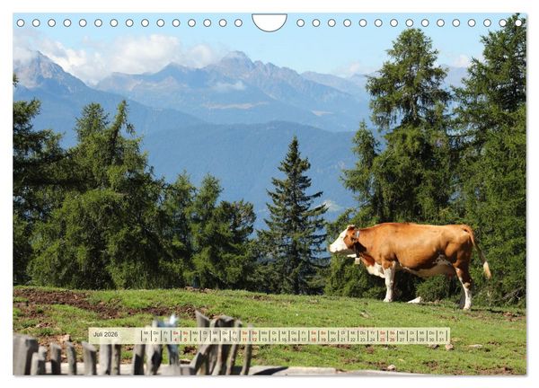 Produktbild: Almengl&uuml;ck (Wandkalender 2026 DIN A4 quer), CALVENDO Monatskalender