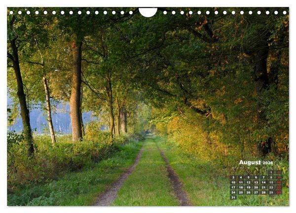 Produktbild: Die Dingdener Heide im Wandel der Jahreszeiten (Wandkalender 2026 DIN A4 quer), CALVENDO Monatskalender