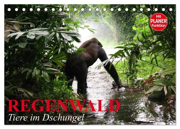 Produktbild: Regenwald. Tiere im Dschungel (Tischkalender 2026 DIN A5 quer), CALVENDO Monatskalender