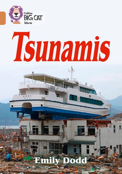 Produktbild: Tsunamis