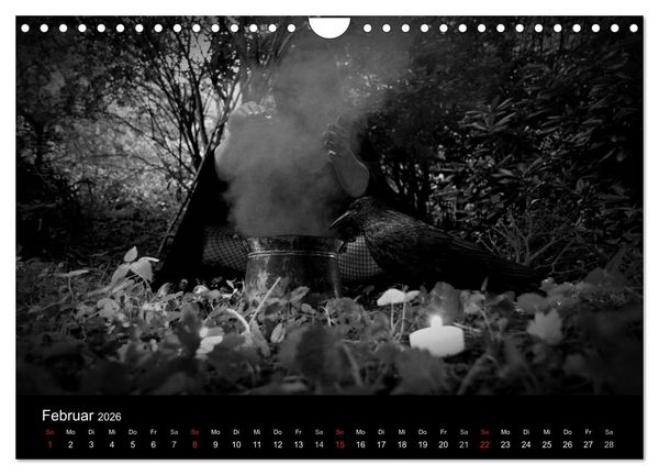 Produktbild: Hexen (Wandkalender 2026 DIN A4 quer), CALVENDO Monatskalender