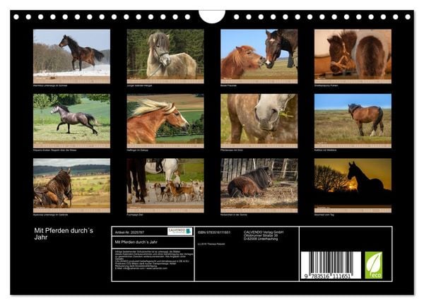 Produktbild: Mit Pferden durch&acute;s Jahr (Wandkalender 2026 DIN A4 quer), CALVENDO Monatskalender
