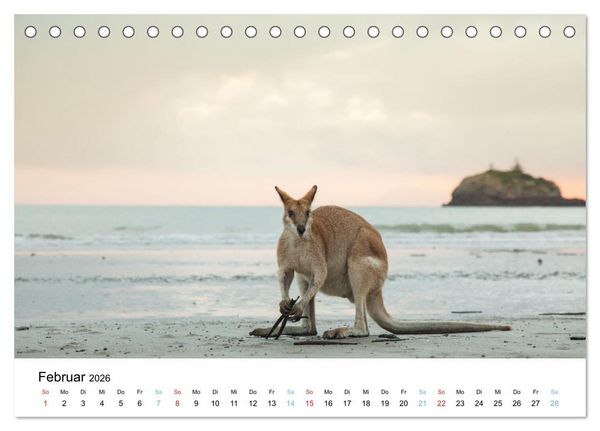 Produktbild: Australiens wunderbare Tiere (Tischkalender 2026 DIN A5 quer), CALVENDO Monatskalender