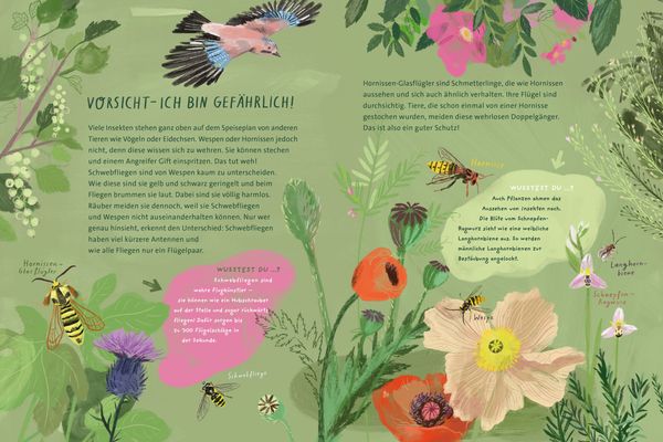 Produktbild: Tricksen, T&auml;uschen, Tarnen