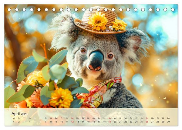 Produktbild: Koalas im Modefieber. Flauschig und Chic beim Fotoshooting (Tischkalender 2026 DIN A5 quer), CALVENDO Monatskalender