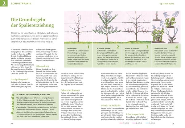 Produktbild: Obstgeh&ouml;lze schneiden