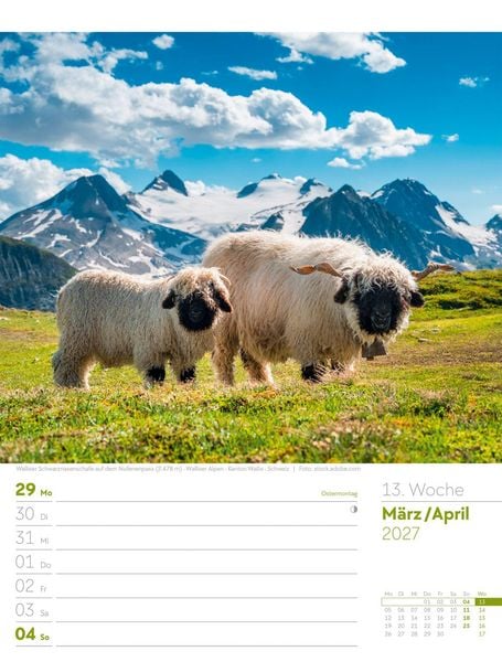 Produktbild: Faszination Alpenwelt Wochenplaner Kalender 2027