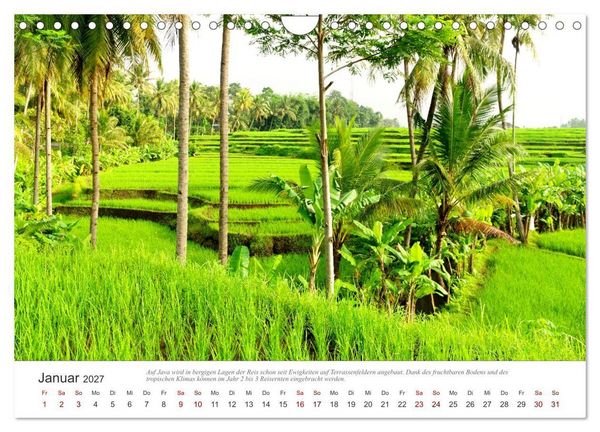 Produktbild: JAVA Natur pur (Wandkalender 2027 DIN A4 quer), CALVENDO Monatskalender